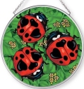 Ladybugs