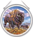 Bison