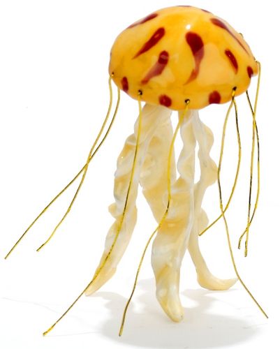 Jellyfish