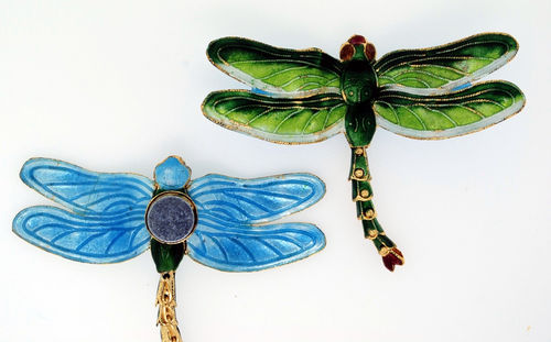 Dragonflies