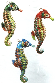 Seahorses