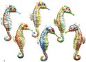 Seahorses