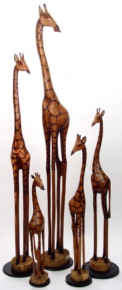 Giraffes